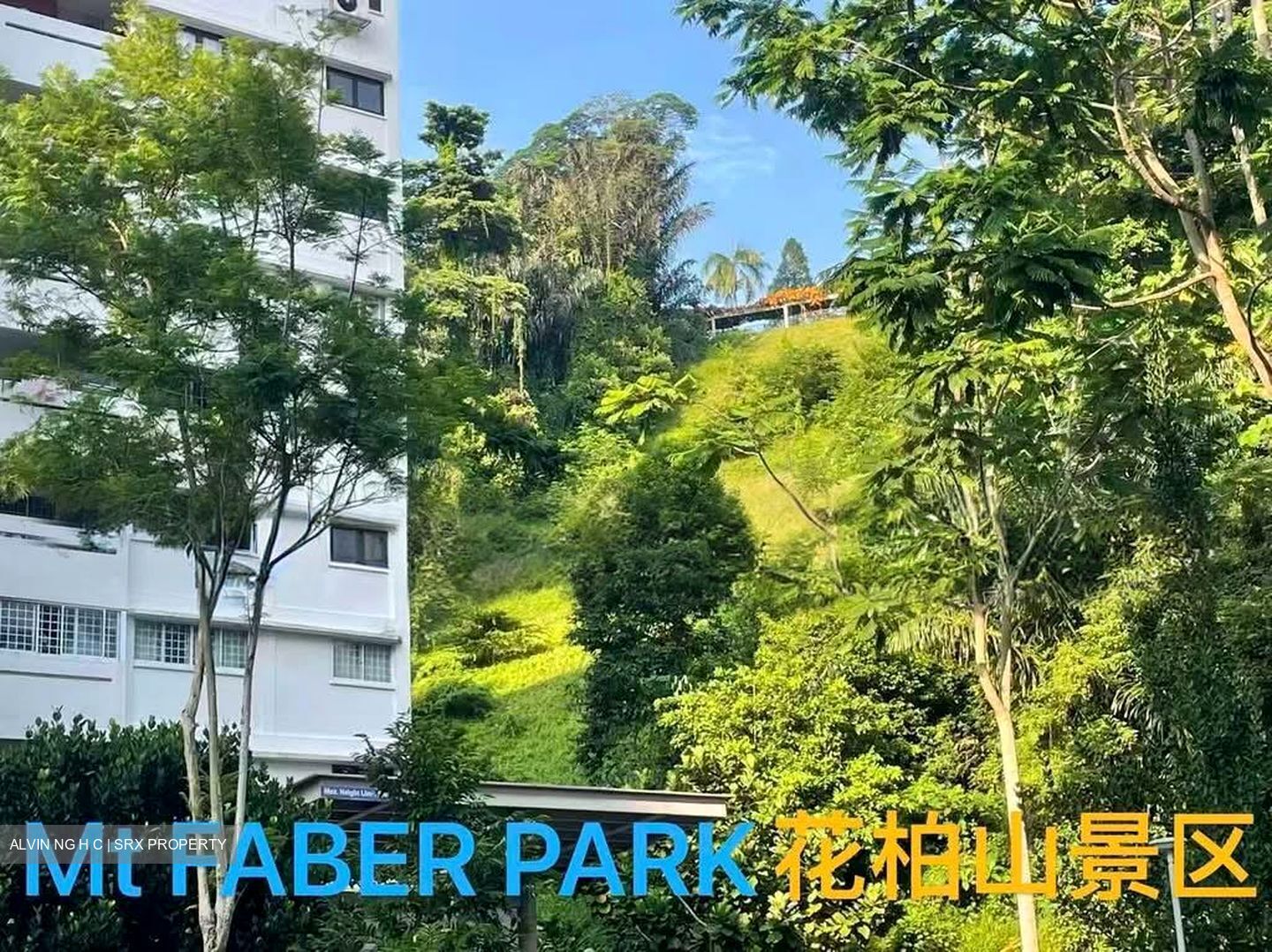 Blk 42 Telok Blangah Rise (Bukit Merah), HDB 5 Rooms #597143841